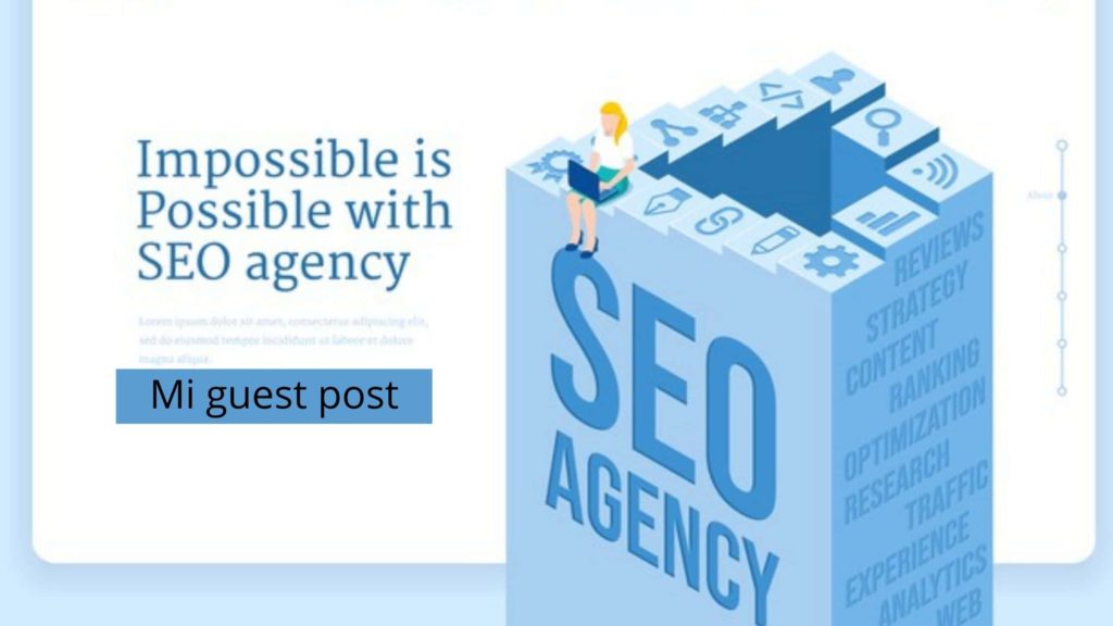 best company for seo